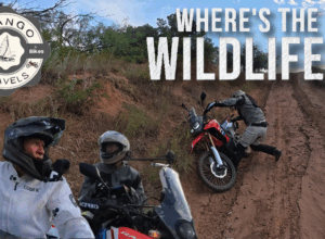 South to the Sandy Sanders Wildlife Management Area S1|E2 S1E2